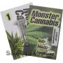 Hemp seeds Auto Mazar Feminised